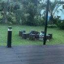 가시머뭄 이미지