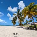 (주)지테크인터내셔날 남부지점 | 플로리다 여행 (계획)