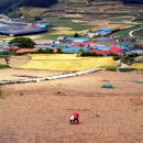 남도 여행 <청산도,보길도편> 이미지