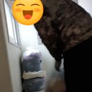 옷스토리