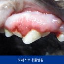 포레스트동물병원 이미지