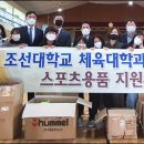 조선대학교 체육대학 이미지