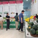 소과담