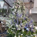 티포레 | 천안 예쁜 웨딩홀 투어 - 티웨딩,더포레 - 두군데 방문 및 하객 후기!