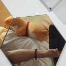 H4253 | [수원 인계동 왁싱 추천: 홍앤뷰티]매번 만족스러운 왁싱샵!!! 상세후기!!!