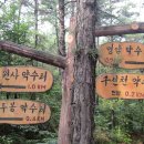 구선천약수터 Daum카페