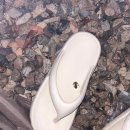 녹색오토캠핑장 이미지