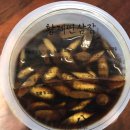 황가네 명품키조개 이미지