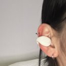 삐삐애견샵 | 귀욤뇸뇸야미야미