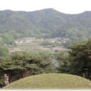 삼한국대부인순흥안씨묘 이미지