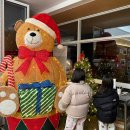 제천 음식물 처리기 | 충북 제천 [스테이아웃] 캠핑장 2박3일 찐 후기