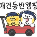 두곡해수욕장야영장 이미지