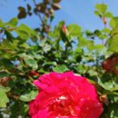 영랑동 등대 이미지