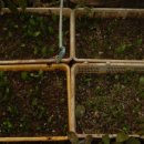 산마늘펜션 이미지