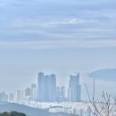 백양산체육공원 | 스쿼트 하기 싫은 날은 하이킹 부산 장산 등산 코스 추천