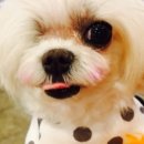 워리워리 이미지