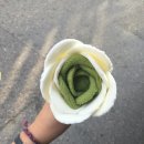 론헤어