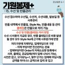 전산컨설팅