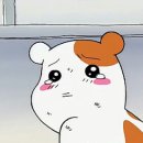 스위트클린