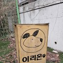 구조라위판장 | &lt;거제도&gt; 장목면 가성비 좋은 오션뷰 반려견 동반 숙소 : 이리온 애견펜션