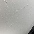 더 샤인 디테일링 이미지