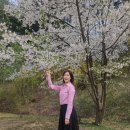 삼성전자(주) | [삼성전자서비스] 7년째 주진행중인 임직원을 위한 홀가분 힐링캠프 주진행 강의 후기 손유정 대표강사