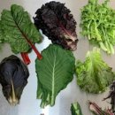 맛조아농장 이미지