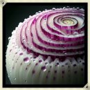 원주시농업기술센터 남부지소 | 원주시는 “고용승계”란 레벨을 떼어 버렸나?수년간 “고용승계”란 단어를 가지고 牽强附會 (견강부회...