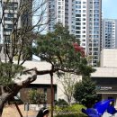 황령산레포츠공원(체육관) 이미지