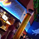 마닐라라이브클럽 이미지