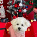 헬로우버디 광교점 이미지