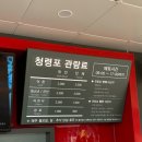 관음송 | 곳 영월 청령포 단종 유배지 왕과 사는 남자 촬영지 방문후기 왕과 사는 남자 후기 영월 단종 묘 단종장릉