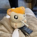 명랑물닭갈비 | [D+129~134] 비가 그친뒤 성큼 찾아온 여름🥵