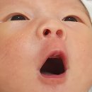 홍소아과의원 네이버블로그