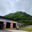 파인포레스트호텔 노래방 이미지