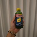 (주)퓨오바이더스 | 엔시티드림 Beat it up 첫 생방 후기