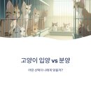 사바나동물병원 | 고양이 입양 vs 분양 – 어떤 게 더 안전할까?