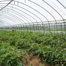 다올농장 이미지