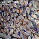 오이시타코 이미지