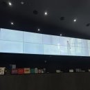 애프터스킨 | 동성로성형외과 스킨부스터 콧볼 보톡스 비포 애프터 후기