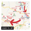 우리주유소 | 일산 유기견 바니 찾았어요!