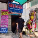 보드타는물고기 이미지