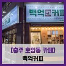호암동 카페] 백억커피 - #직접체험 충주 호암동 테이크아웃 저가 커피 깔끔한 매장 이벤트 솔직 리뷰 후기