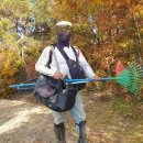 대행농장 이미지