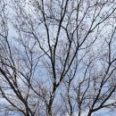 가득드림2호점 | 공주 공산성 완벽 가이드 | 백제한복 체험 + 곰골식당 후기(공산성 입장료 할인 꿀팁)