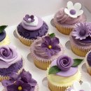 주식회사 에이피에스 이미지