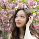 늘푸른전당 이미지