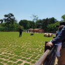 희봉농장 이미지