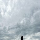 낙타와돌고래 이미지