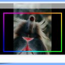 신포시장 이미지